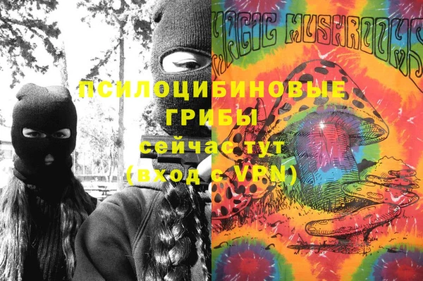ПСИЛОЦИБИНОВЫЕ ГРИБЫ Михайловск