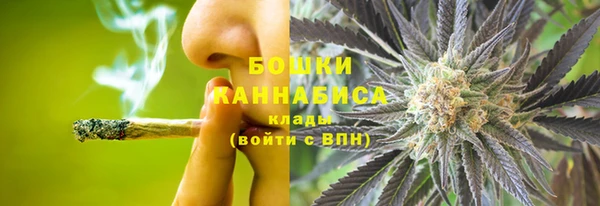 ПСИЛОЦИБИНОВЫЕ ГРИБЫ Михайловск