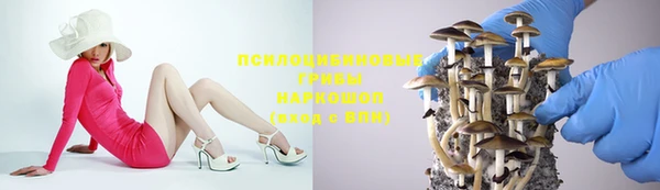 ПСИЛОЦИБИНОВЫЕ ГРИБЫ Михайловск
