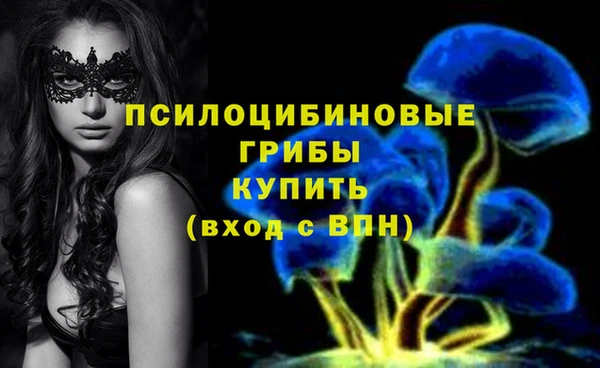 не бодяженный Михайлов