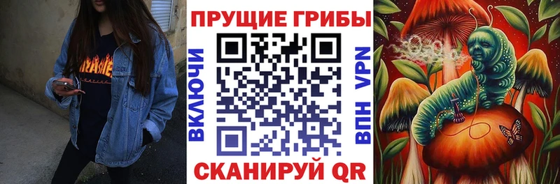 Псилоцибиновые грибы ЛСД  Сычёвка 